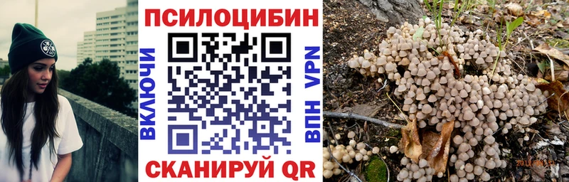 Галлюциногенные грибы Cubensis Палласовка